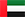UAE Flag